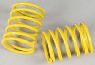 Picture of Tamiya TRF Short Damper Spring (Medium, 2 pcs.) 53631